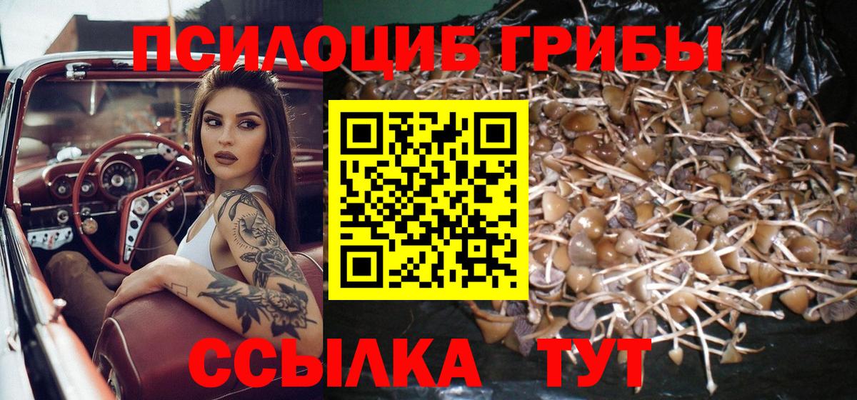 Северск  цены наркотик  Вход с VPN  Галлюциногенные грибы мухоморы 